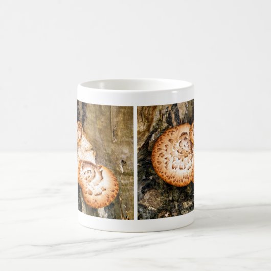 MUG FUNGI (Centre)