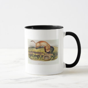 Mug furet Noir-aux pieds