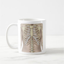 Fuzzy Express® Femme Skeleton Anatomie