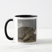 Mug Galapagos Giant Tortoise Geochelone (Gauche)