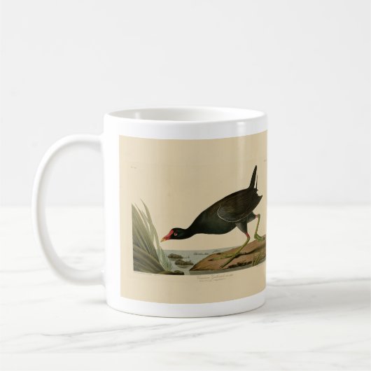 Mug Gallinule commune des oiseaux d'Amérique d'Audubon (Gauche)