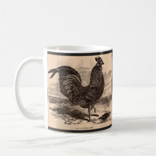 Mug Galus Sonneratii du 19e siècle