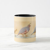 Mug Gambrel's Quail Painting Original Bird Art (Centre)