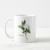 Mug Gardénia Jasminoides (gardénia commun) (Gauche)