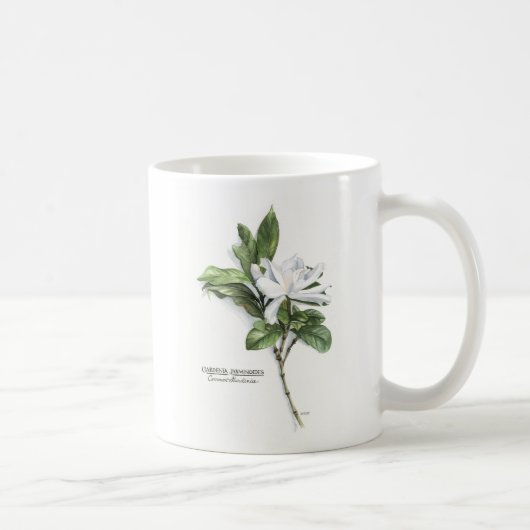 Mug Gardénia Jasminoides (gardénia commun) (Droite)