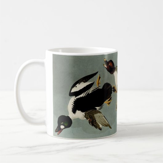 Mug Garrot commun canard de mer (Gauche)