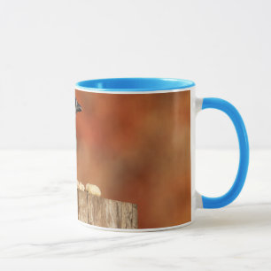 Mug Geai bleu