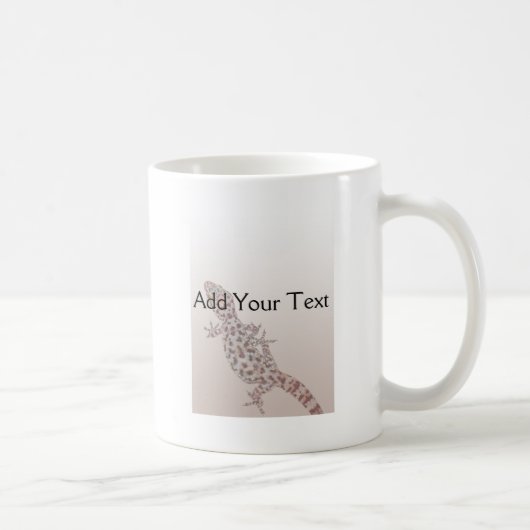 Mug Gecko repéré par léopard sur le sable (Droite)