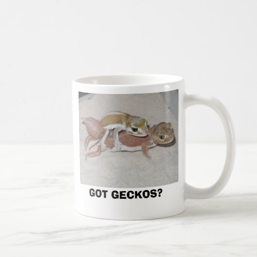 MUG GECKOS OBTENUS ? (Droite)