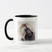 Mug Gelada Baboon, Éthiopie (Gauche)