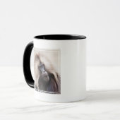 Mug Gelada Baboon, Éthiopie (Devant gauche)