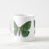 Mug Geometra papilionaria - La Grande Moth Émeraude (Devant gauche)