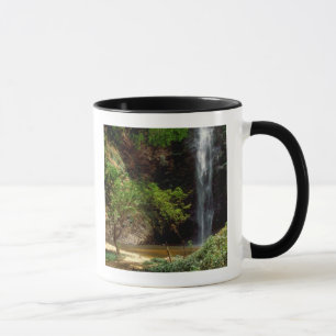 Mug Ghana : Wli Falls, alias Chutes d'Agumatsa (Volta)