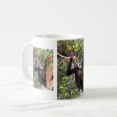Mug gibbon à joues buffées mâle (Devant gauche)
