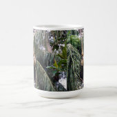 Mug Gibbon, Juste En Train De S'Attaquer, (Centre)