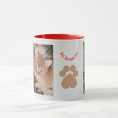 Mug Ginger kitten 2 photos, best therapist,  (Centre)