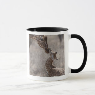 Mug Girafe, Kenya, Afrique