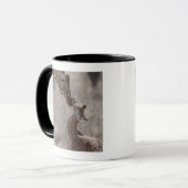 Mug Girafe, Kenya, Afrique (Devant gauche)