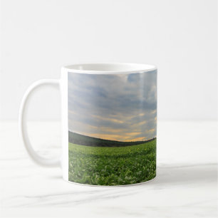 Mug Gisement de betterave à sucre au coucher du solei