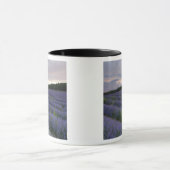 Mug Gisement de lavande au coucher du soleil (Centre)