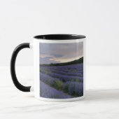 Mug Gisement de lavande au coucher du soleil (Gauche)