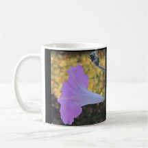 Gloire du matin scintillante rose et or