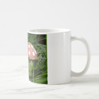 Mug Gnome et champignon