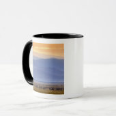 Mug Gnou pendant la migration, Connochaetes (Devant gauche)