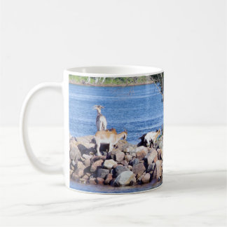 Mug Goats on Rocks