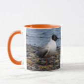 Mug Goéland de Bonaparte à la plage (Gauche)