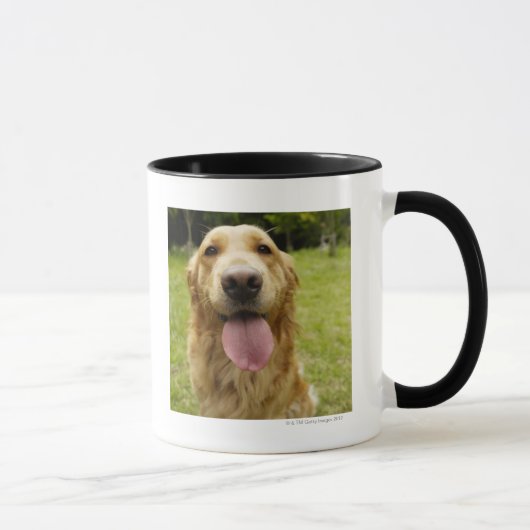 Mug Golden retriever 4 (Droite)