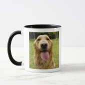 Mug Golden retriever 4 (Gauche)