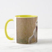 Mug Goldendoodle traverse l'herbe (Gauche)