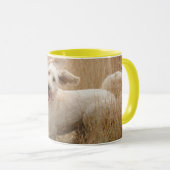 Mug Goldendoodle traverse l'herbe (Devant droit)
