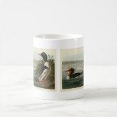 Mug Goosander (Merganser commun) Oiseaux d'Audubon (Centre)