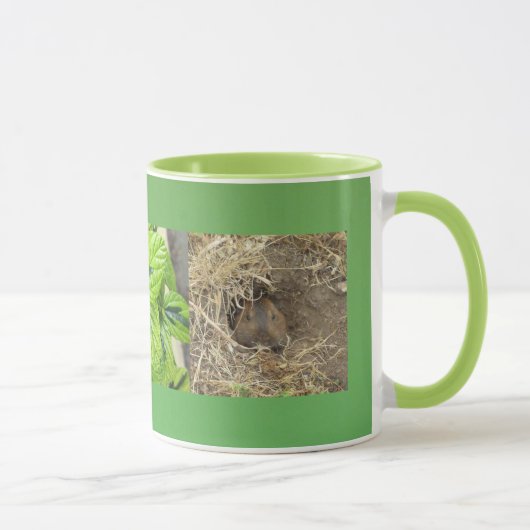 Mug Gopher de la Californie (Droite)