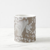 Mug Gorge fossile de Devonian (Centre)