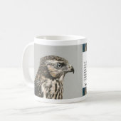 Mug Goshawk immature (Devant gauche)