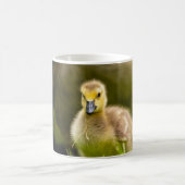 Mug Gosling (Centre)