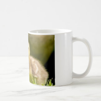 Mug Gosling