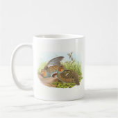 Mug Gould - perdrix - promo de librairie de perdix de (Gauche)