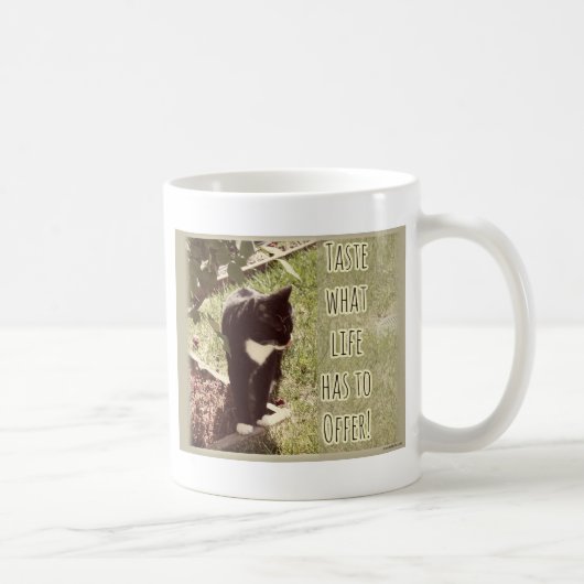 Mug Goût de vie mignon chat photo Citation inspiration (Droite)