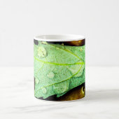 Mug Gouttes de pluie sur une feuille (Centre)