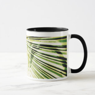 Mug Graffiti sur un volet