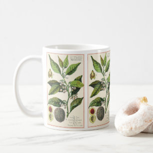 Mug Graines de fruits Plantes de muscade vintage, Herb