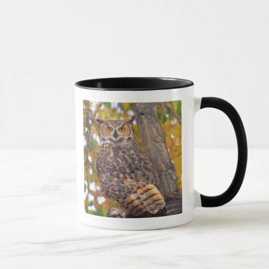Mug Grand-duc d'Amérique (Droite)