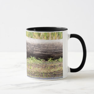 Mug Grand Héron bleu debout dans le lac Champlain
