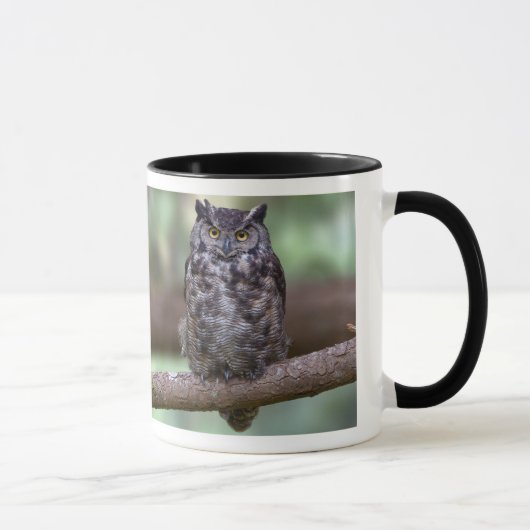 Mug Grand hibou à cornes (Droite)