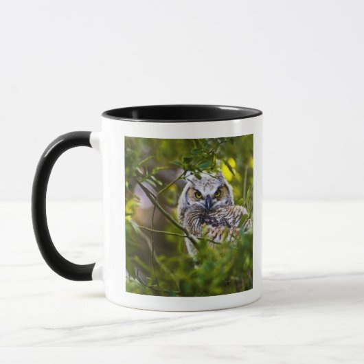 Mug Grand jeune hibou à cornes (Gauche)