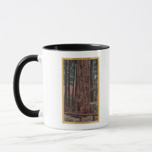 Mug Grand parc d'état d'arbres, CA - arbre de briseur